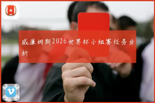威廉姆斯2026世界杯小组赛任务分析