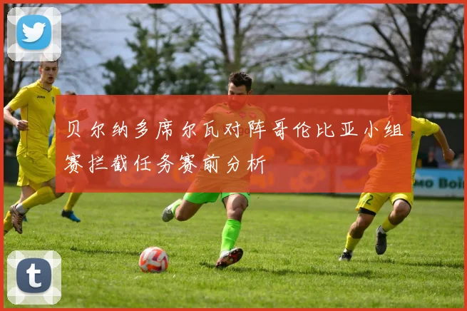 贝尔纳多席尔瓦对阵哥伦比亚小组赛拦截任务赛前分析