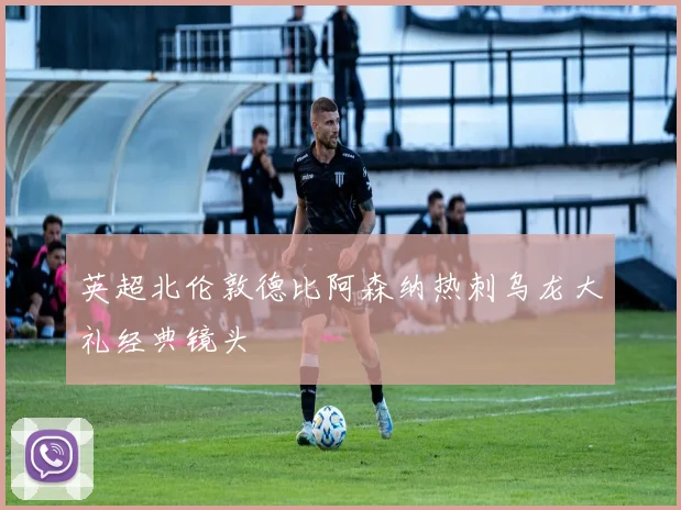 英超北伦敦德比阿森纳热刺乌龙大礼经典镜头