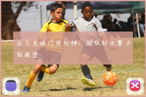 法兰克福门将封神，超级杯决赛力阻狼堡