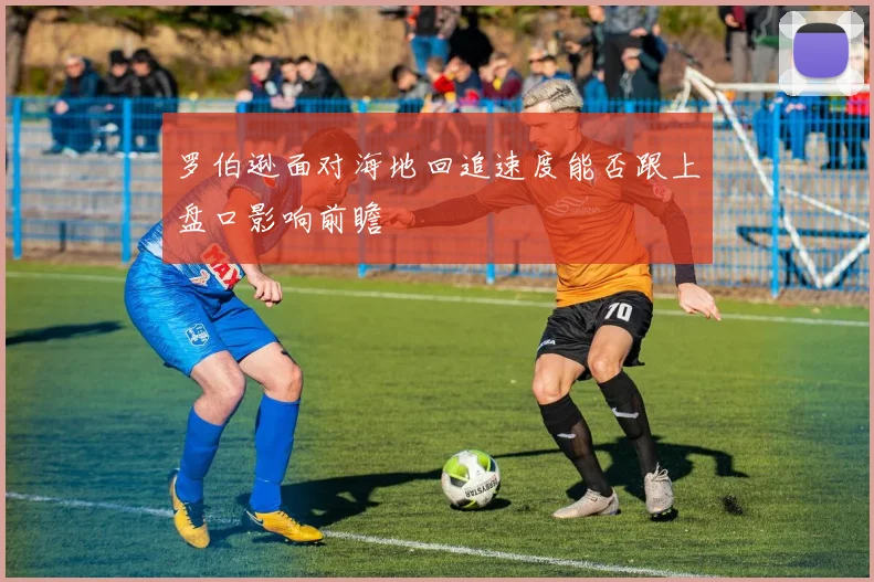 罗伯逊面对海地回追速度能否跟上盘口影响前瞻
