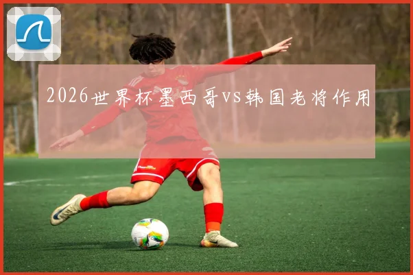 2026世界杯墨西哥vs韩国老将作用